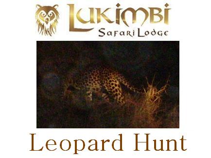 Safari Drive 6