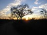 Sunrise over Kruger