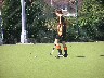 Penguin free hit