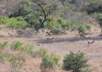 Lukimbi Lodge